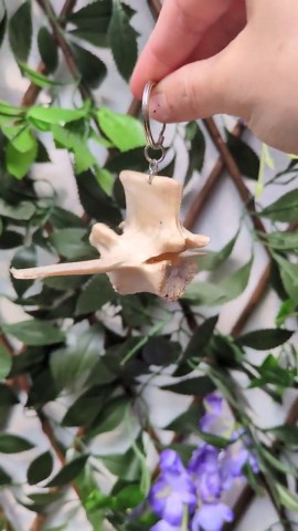 Sheep Bone Keychain - Etsy