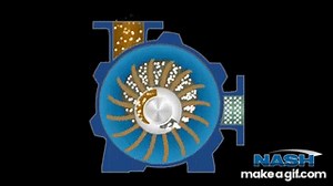 Liquid Ring Compressor: How It Works on Make a GIF