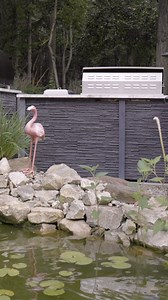 From Virtual Design to Reality!  Our client was blown away by how...