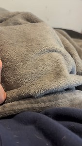 316 reactions · 27 comments | Ya it’s ridiculously cold out right now so I’ll see you guys tomorrow I’m over this  #microbully #teddyandvida #dogs | Teddy Themicrobully | Facebook