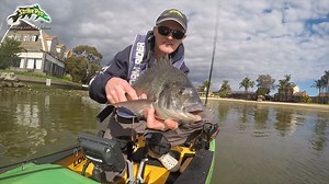15 reactions · 3 comments | The Strike Pro Cyber Vibe has become a favourite of the aussie angler. The Cyber Vibe 35 & 40 offer 3 top tow point and 2 rear tow points that gives the lure up to 6 different actions. This lure is highly effective on Bream, Mulloway, Flathead, Estuary Perch, Bass, Yellowbelly and Redfin. | Strike Pro Australasia | Facebook