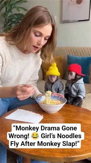 “Monkey Drama Gone Wrong! 😂 Girl’s Noodles Fly After Monkey Slap!”