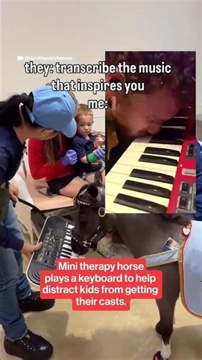 How to transcribe music you love #jazz #jazzpiano #improvisation #horse