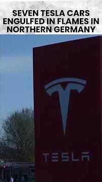 Fire Destroys Seven Tesla Cars in Germany | NewsX World