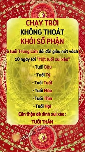 Top 6 Tuổi Trúng Số Lớn Số Phận Giàu Sang | Phong Thủy Mai Bùi