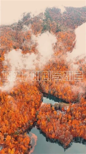 How to create a transparent text effect in your videos #Filmora #SubtitleEffects