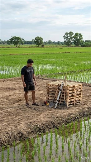 Timelapse of Countryside Life in Isaan, Thailand
