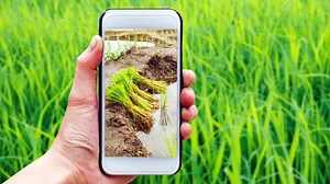 The rise of agritech: How green technology can enable more earth-friendly agriculture