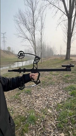 compound bow that shoots steel balls #archery #bowhunting #compoundbow #sports #fypシ #tools #test