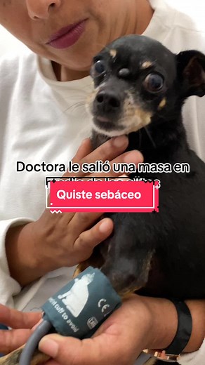 TikTok - Make Your Day