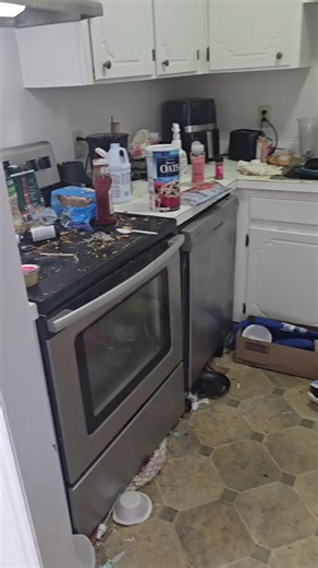 Effective Cleaning Tips for Professional Cleaners