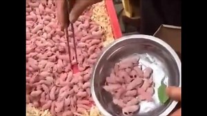 67K views · 257 reactions | eat live mice? O.o scoopmania worldwide diffusion | Scoopmania Mobile Tek | Facebook