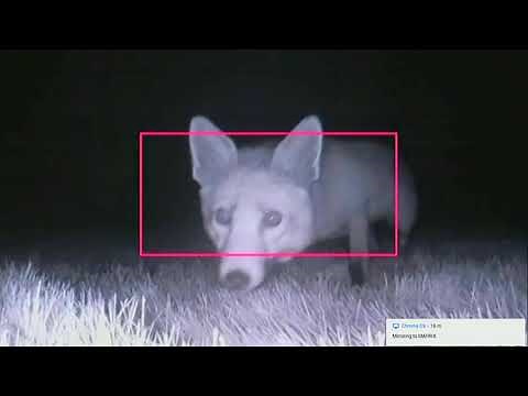 Setting up a camera trap for nature with the Raspberry Pi