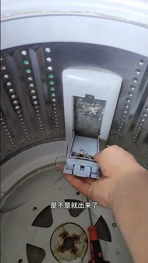Easy DIY: How to Disassemble & Reassemble Your Washing Machine Filter