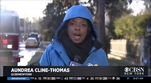 9.4K views · 34 reactions | BREAKING: Firefighters are battling a three-alarm blaze at a multi-million dollar home in Westchester County, where the extreme cold has frozen their hoses and ladders. CBSN New York’s Aundrea Cline-Thomas reports from the scene in Scarsdale. Read more: https://cbsloc.al/2HmmgTS | CBS New York | Facebook