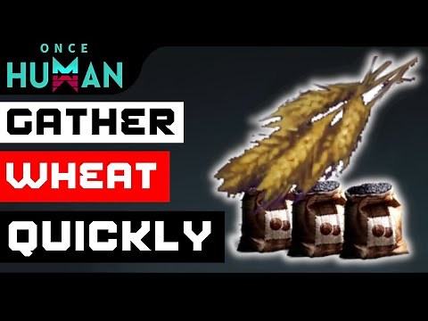 Once Human: Wheat & Seeds 40+ Per Run (Manibus)