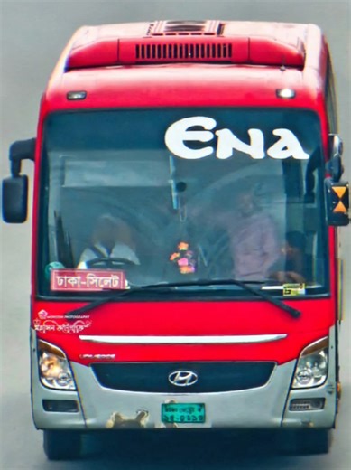 Discovering the World of Bus Lovers