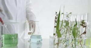 Sientist work with plant in test tubes in laboratory