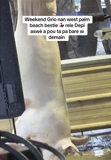 Dance Moves with Kate: Tips for Beginners