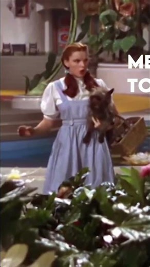 Las Cruces Homes: Mountain Views & Wizard of Oz Secrets!