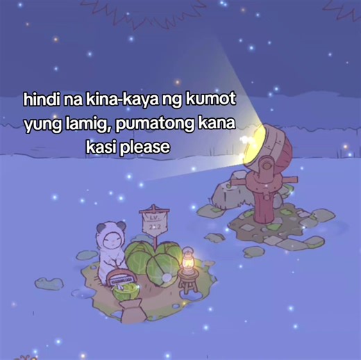 Understanding Cat Behavior During Heat