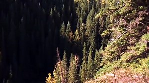 Grizzly Falls - Full Movie starring Richard Harris