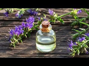 Hyssop Benefits, Uses & Side Effects – My Healing Experience
