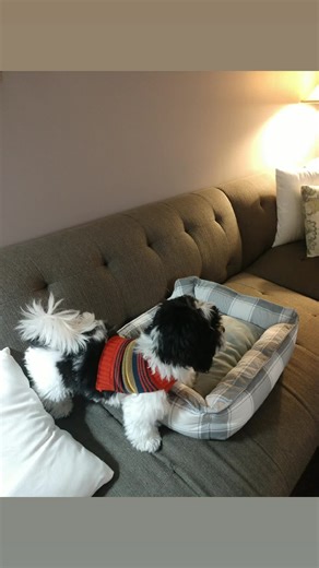 Betsy Ann Puckett Hover (@betsyhover)’s videos with original sound - Betsy Ann Puckett Hover