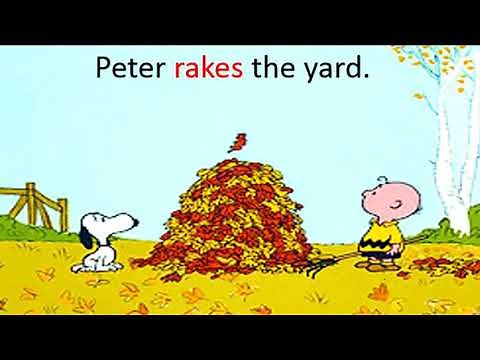 Subject Verb Agreement Song x264