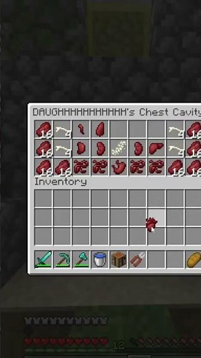 Minecraft Chest Cavity
