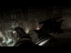 Linux Mint 22.3 Gameplay footage of The Elder Scrolls V skyrim Special Edition