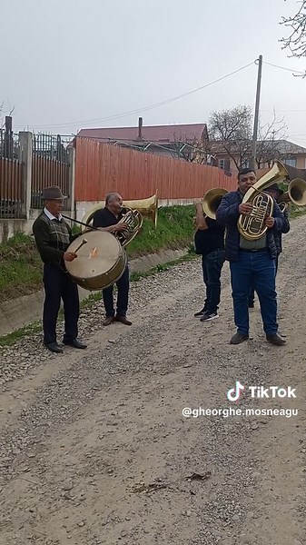Musicians Enjoying Outdoor Brass Trombone Performance