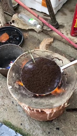 Get Rid of Red Ants Outdoors Effectively