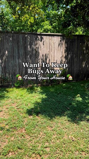530K views · 2.7K reactions | Want to keep bugs and other pests away...