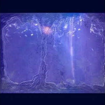 water striders
