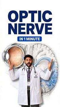 Optic Nerve (CN II) in One Minute | Anatomy & Function