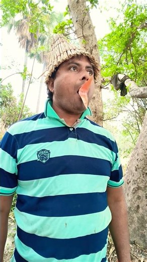koyal sounds...🐦 #entertainment #shorts #koyalsounds #birds #funny #ytshorts #shortvideo #shortsfeed