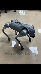 Warning! Major cuteness alert～ 🚨 Toucanhobby robot dog demo: ace at running, jumping, interacting 🐾. Tech cuteness , super eye-catching? Anyone interested? 🙋​#remotecontrol #toucanhobby ## #originalcontent ##creativeengineering #creativefilm #Ai #model #custom #customization #controller #toucan #electric #machine | Toucanhobby RC Model