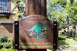 Finding Pascal's Friends