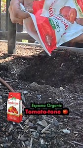 The sun is out and the time is ripe to plant some veggies! Follow along with Garden Answer as she plants tomatoes, peppers, and basil using Espoma Organic Tomato-tone and Land & Sea Gourmet Compost. 🍅🌶️ Check out the full video: https://bit.ly/431v2ex | Espoma Organic