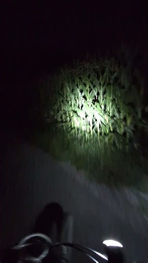 want a voice crack, loser