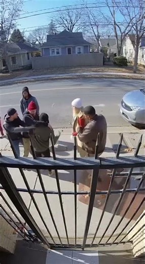 When a cat breaks up a street fight… chaos ensues!