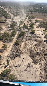 1.3K views | Find out why 12,500 goats were mustered in a bush spectacle. FULL STORY  https://bit.ly/3SrDRLc | The Western Star | Facebook