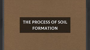 The Process of Soil Formation. - Animated Video By Animation_Maestro - Mango Animate