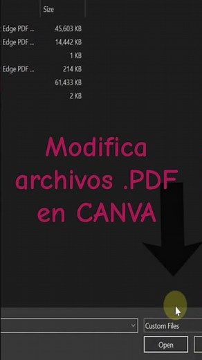 Edit PDFs in Canva in seconds