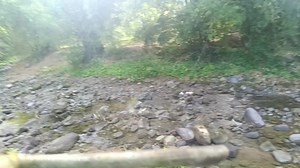 31K views · 712 reactions | CALAMANSI farm visit LA UNION. | AGRI JUAN | Facebook