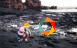 【麦兜摄影#20】最强局部调整插件Viveza详解