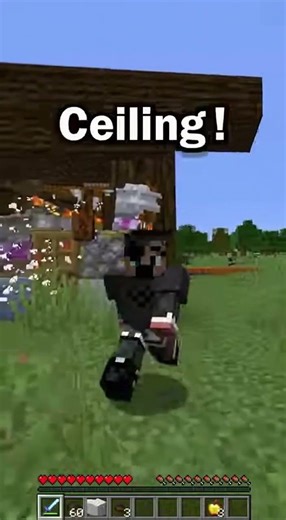 WORST HOUSE TUTORIAL EVER DONT WATCH😭😳#minecraft