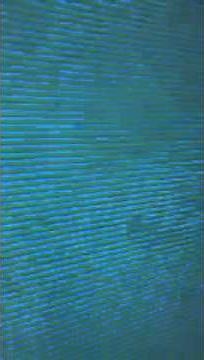 Ytp blues clues..the boat float is cannceld