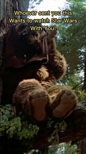 Who Remembers Yub Nub?…